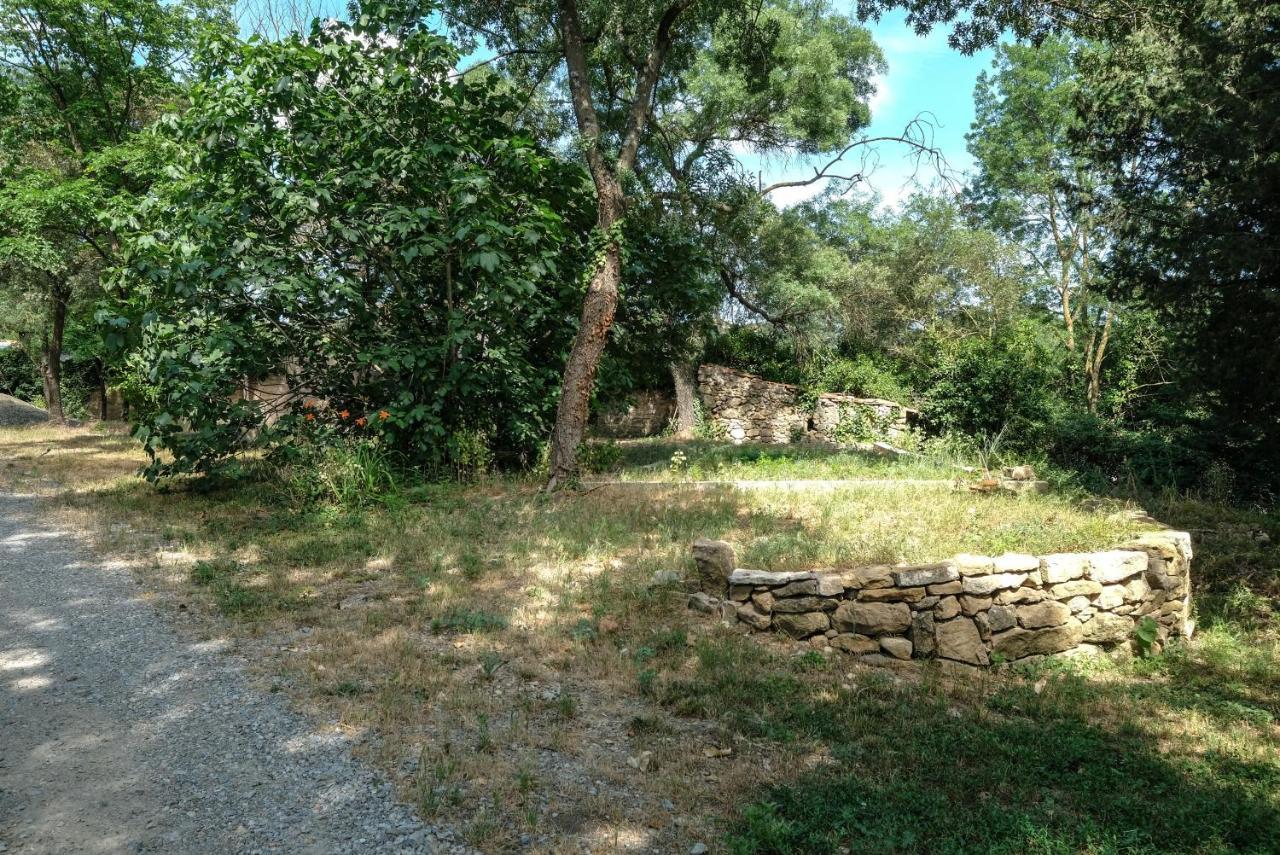 Villa Des Antiquaires Bedarieux Bagian luar foto
