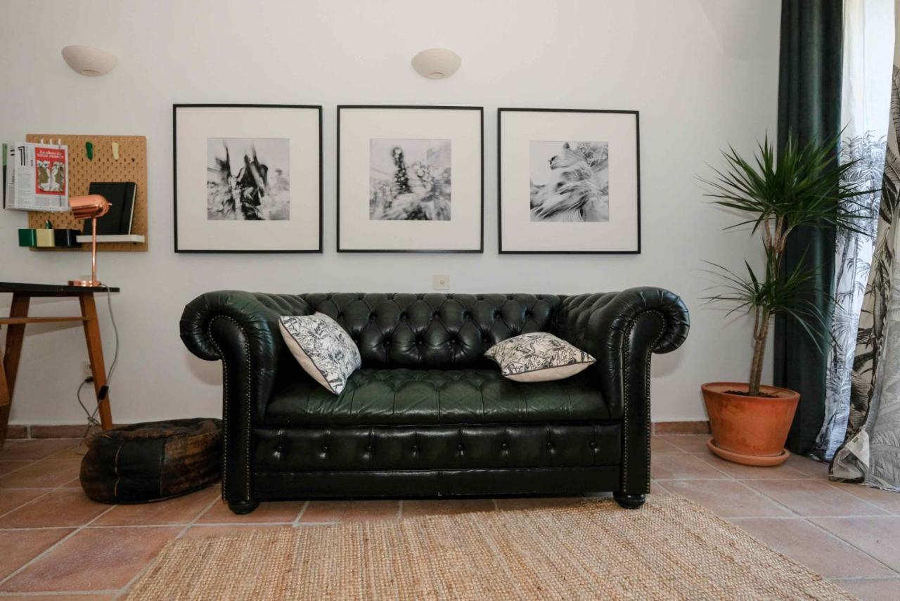 Villa Des Antiquaires Bedarieux Bagian luar foto