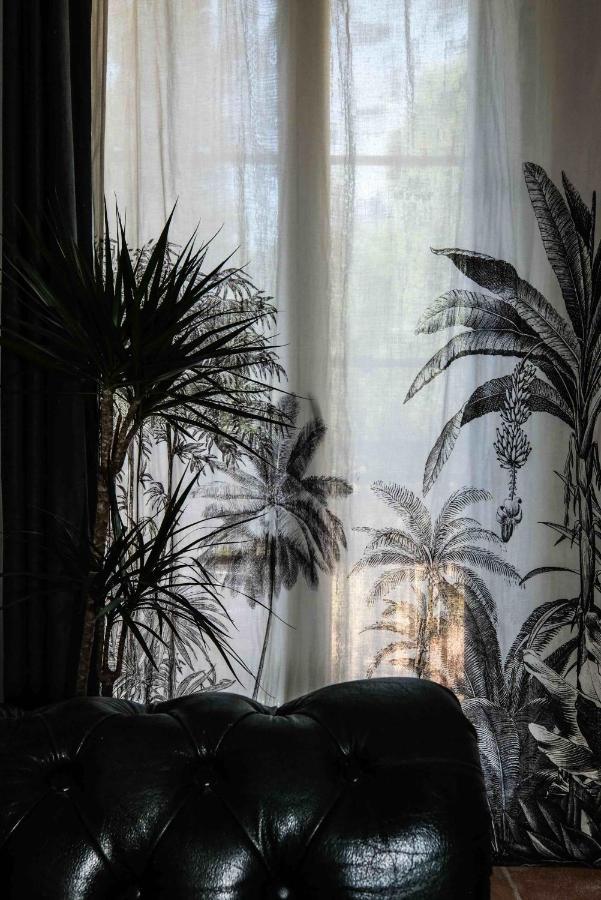Villa Des Antiquaires Bedarieux Bagian luar foto