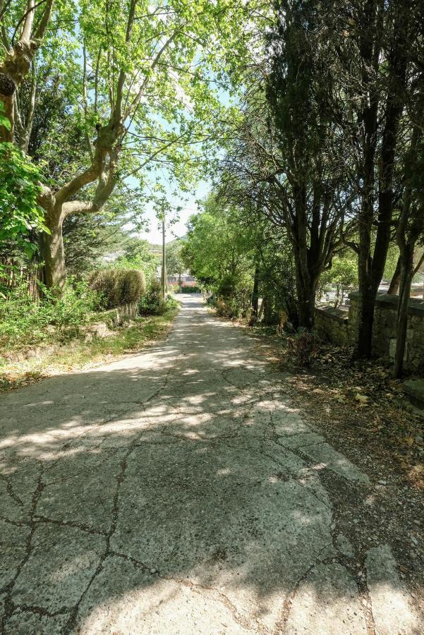 Villa Des Antiquaires Bedarieux Bagian luar foto