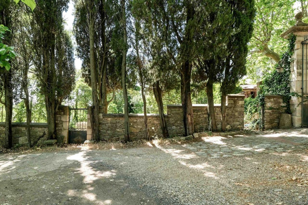 Villa Des Antiquaires Bedarieux Bagian luar foto